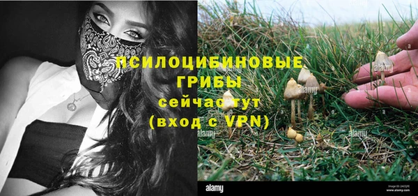 mdpv Ельня