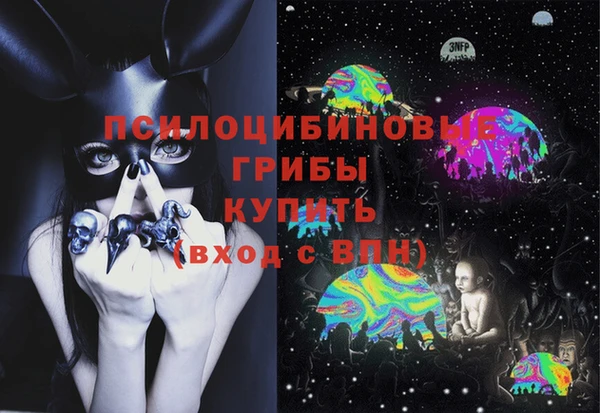 дурь Дмитровск