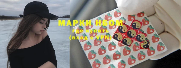 хмурый Дмитров