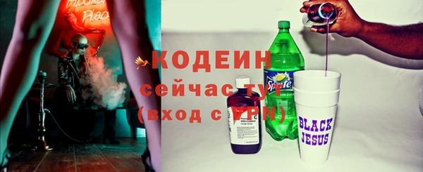 хмурый Дмитров