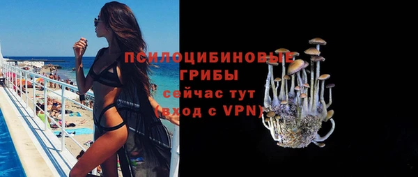 бутират Дмитриев