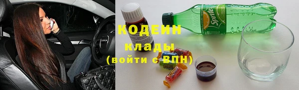 хмурый Дмитров
