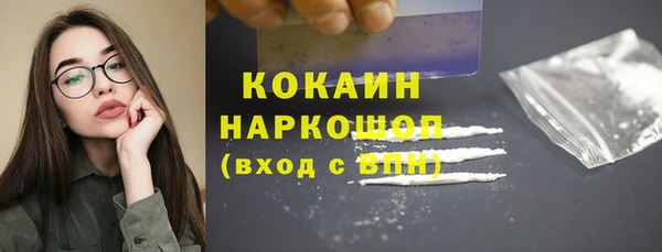 хмурый Дмитров